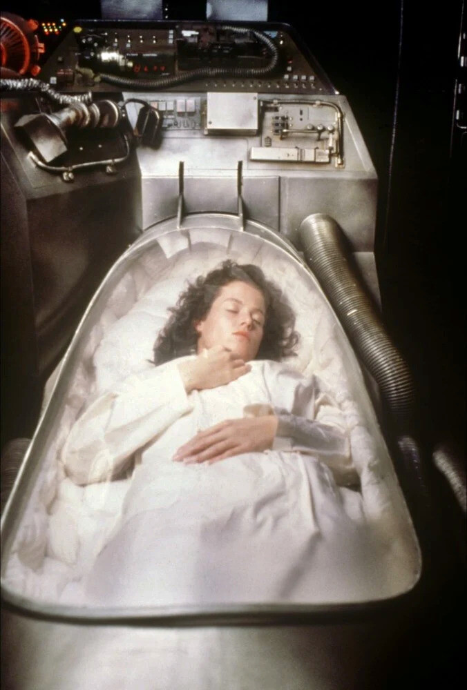 https://s2.radikal.cloud/2024/09/24/Alien-1979-directed-by-Ridley-Scott.16.jpeg