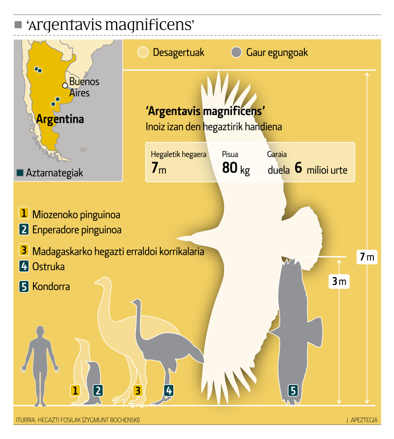 https://s2.radikal.cloud/2025/10/28/62628-Argentavis-hegazti-erraldoia.svg14b0bdc44fd12e31.png