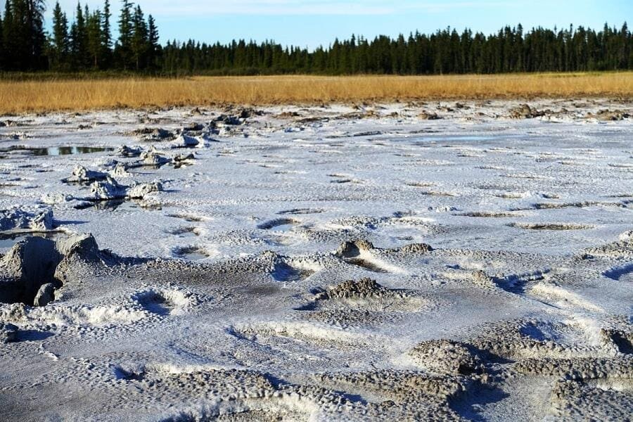Вуд-Баффало - удивительные тайны крупнейшего национального парка Северной Америки Вуд-Баффало - удивительные тайны крупнейшего национального парка Северной Америки