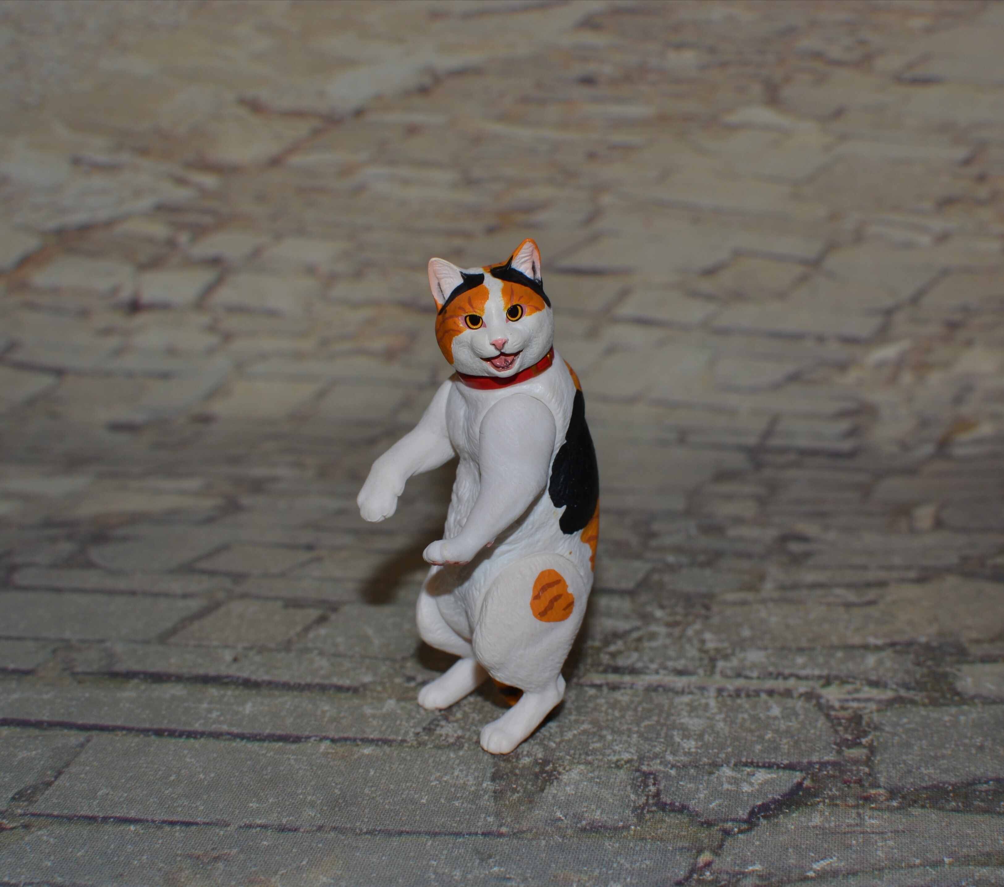 IMG 20260427 101318