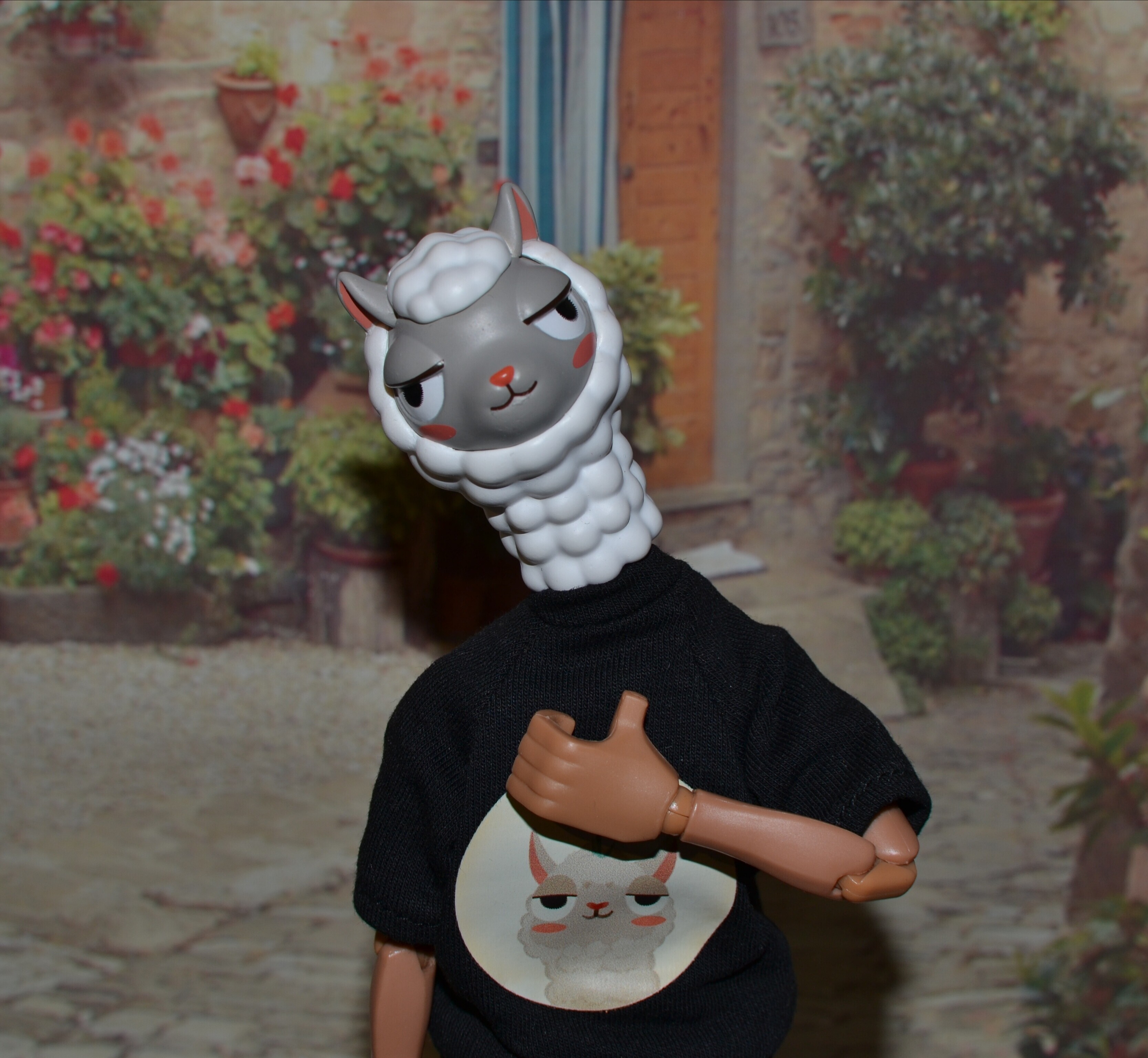IMG 20260517 181824