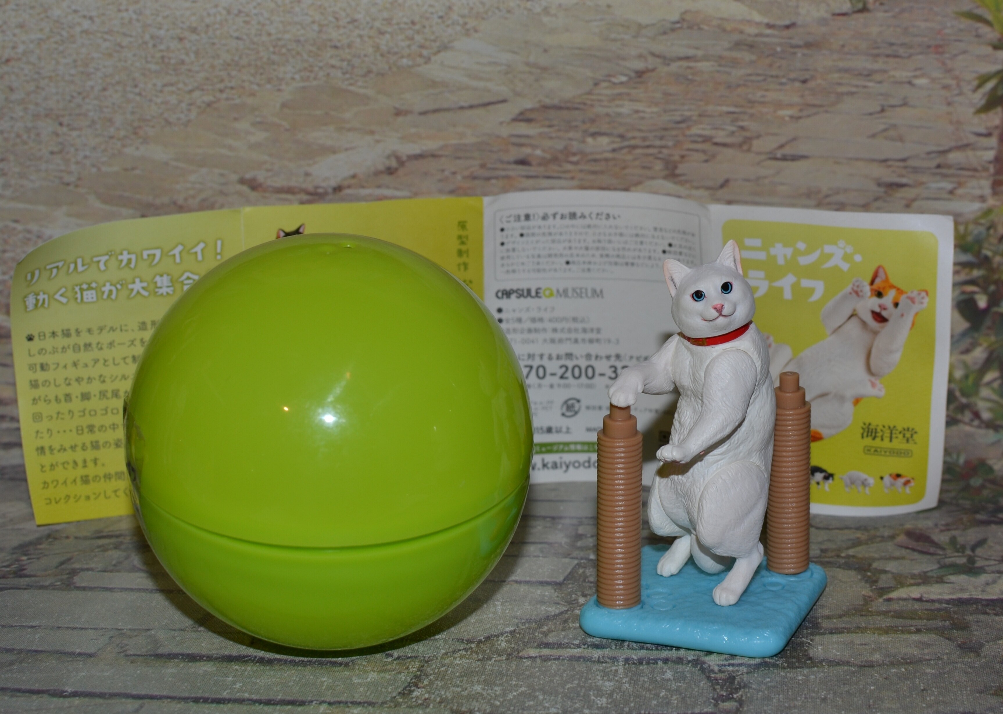 IMG 20251102 151746
