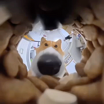 20260729_1401487cccb87a0c8ebabb.gif