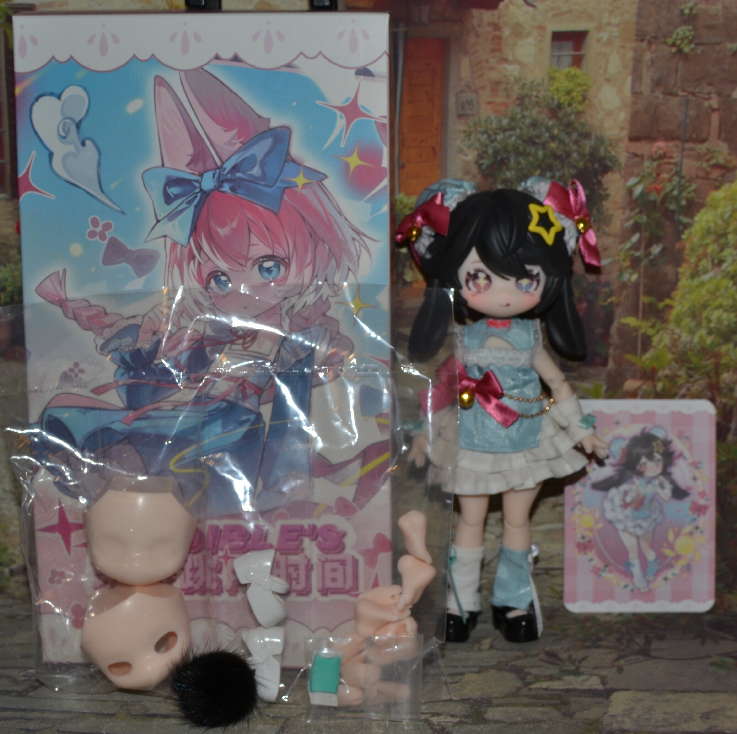 DSC 0169