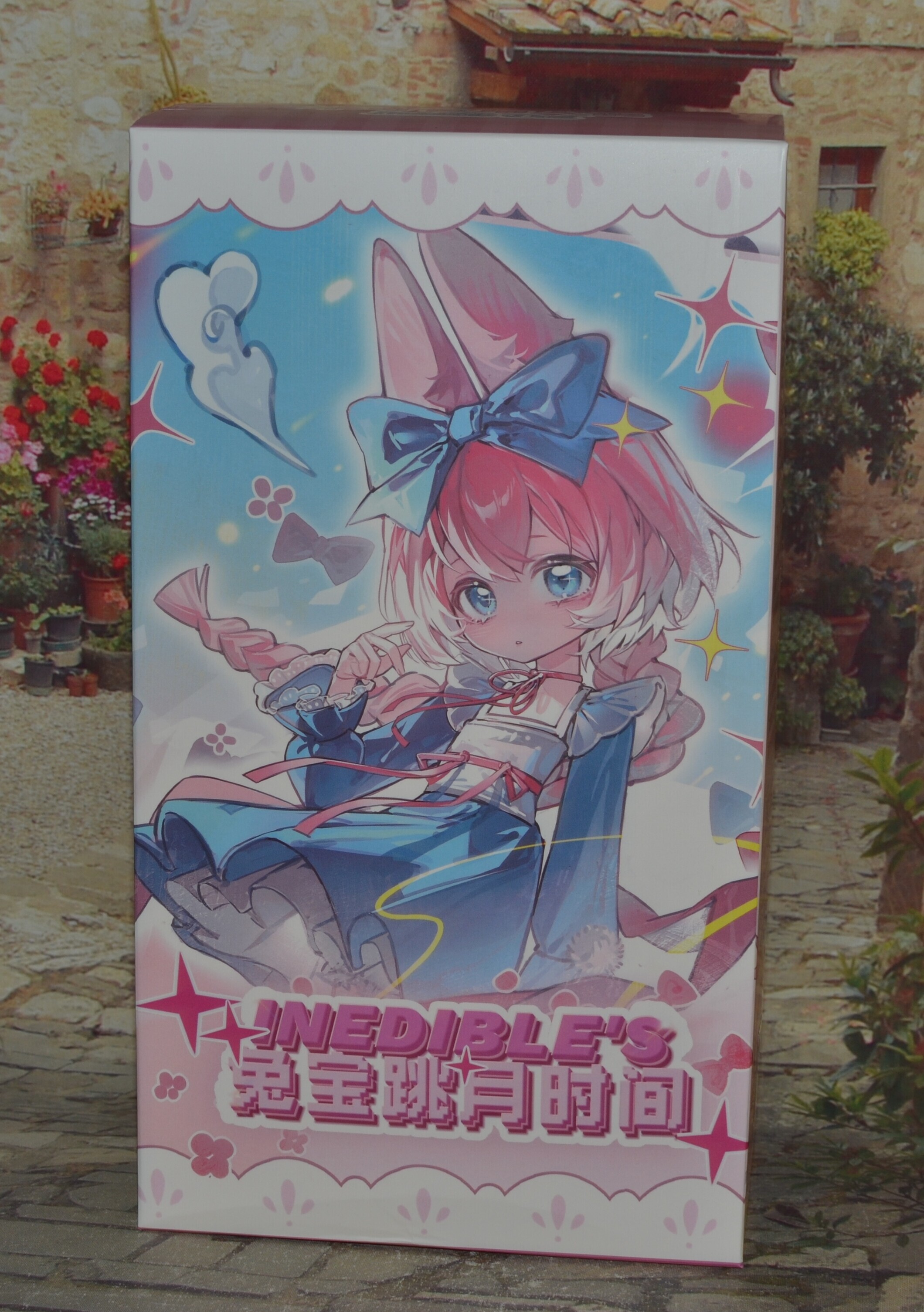 DSC 0209