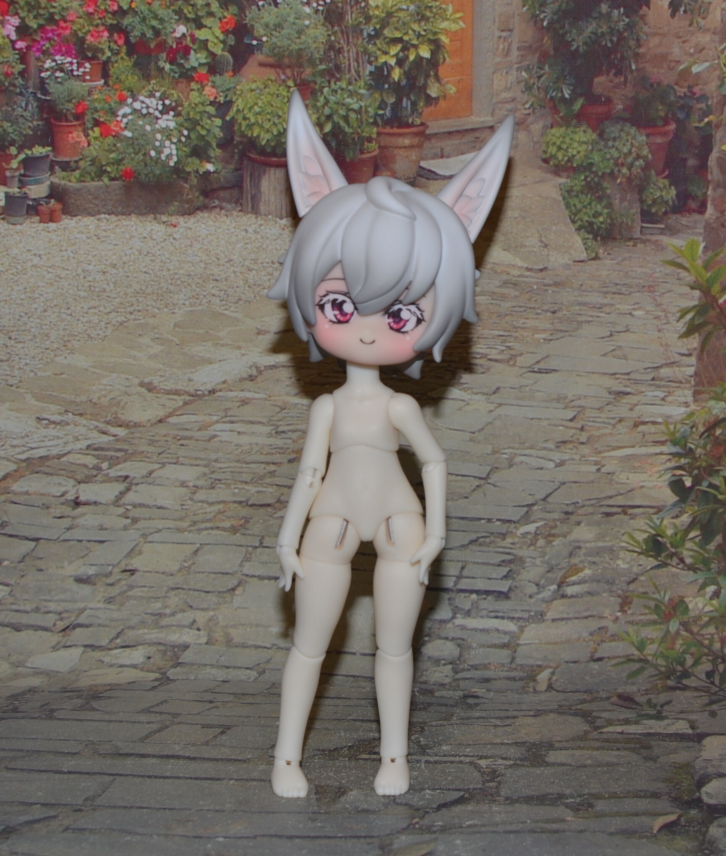 DSC 0734