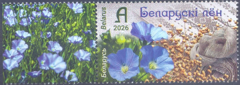 https://s2.radikal.cloud/2026/08/11/2-abeea0c0a56cdde814b.png