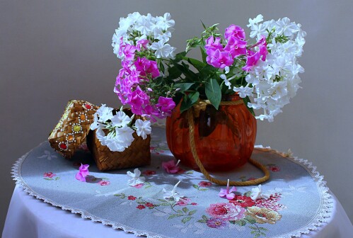 флоксы