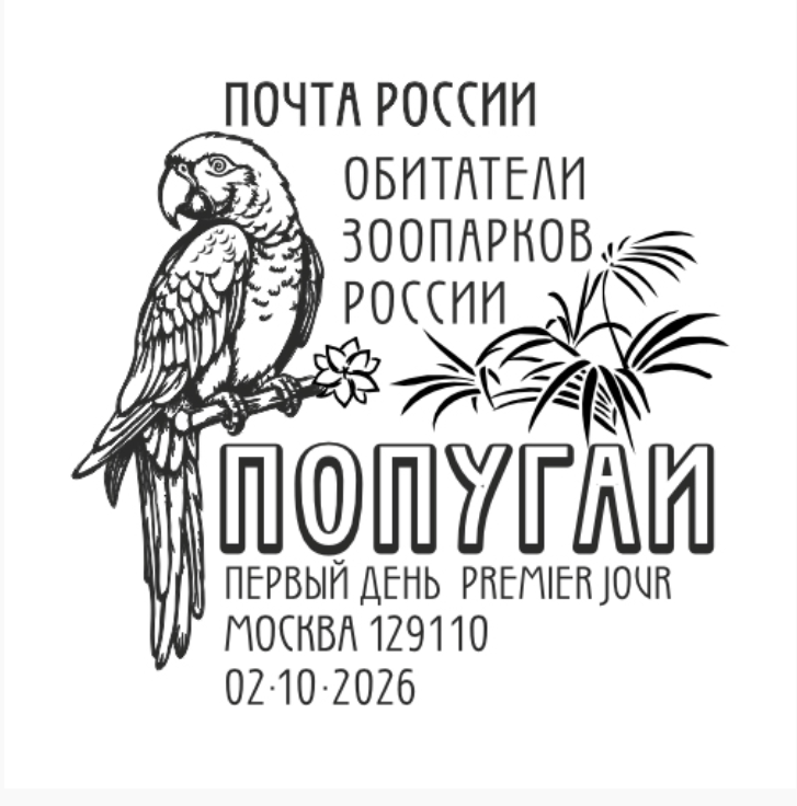 https://s2.radikal.cloud/2026/10/02/-000-aa-b-ccadeffffff7f40ffc4909510c0.png