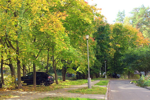 солнечный день в конце сентября